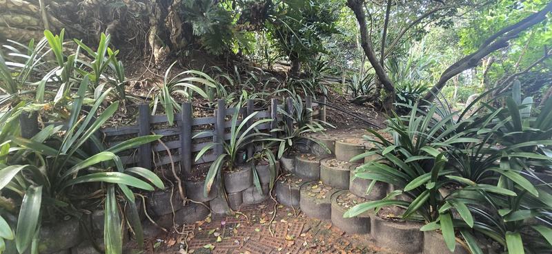 4 Bedroom Property for Sale in Outeniqua Strand Western Cape